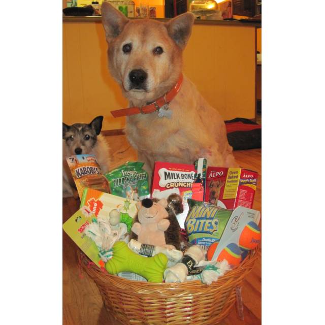Large Care Baskets for Dogs CareAway Cakes & Gifts