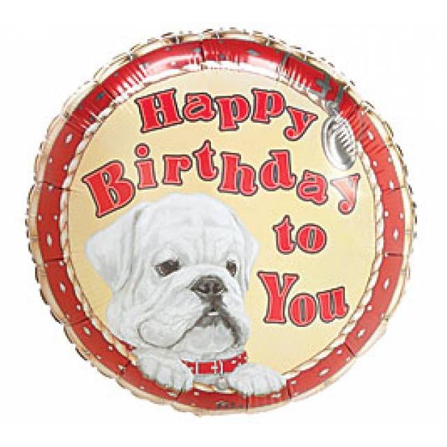 Bulldog Birthday Special