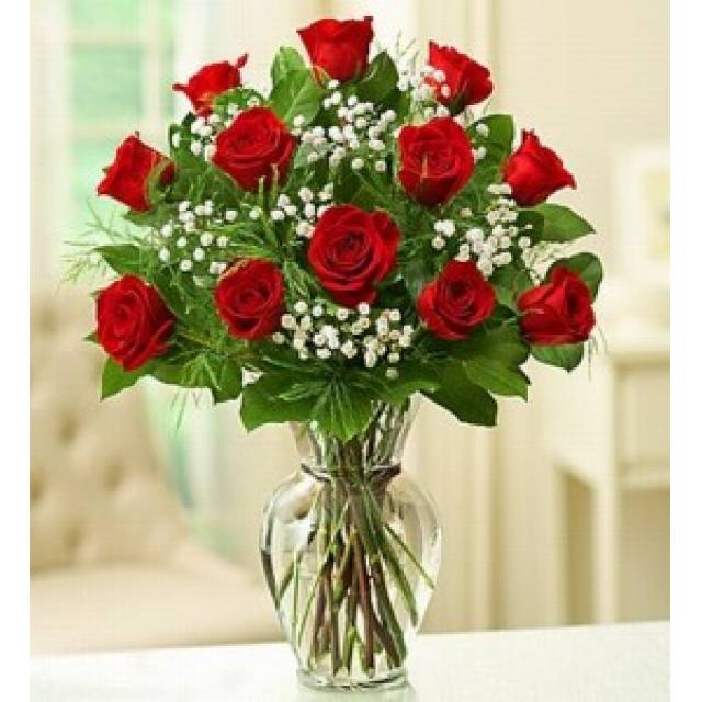 Dozen Roses & Baby Breath