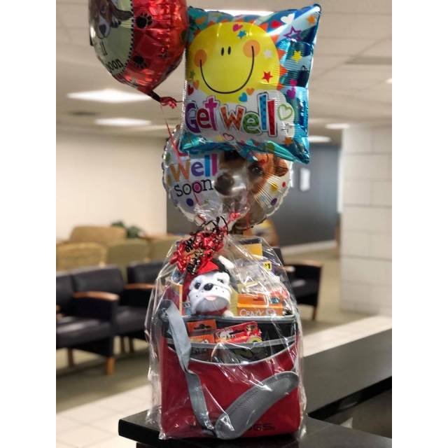 Get Well Gift for Dawgs