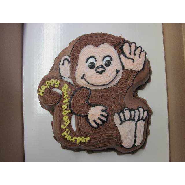 A Curious Monkey
