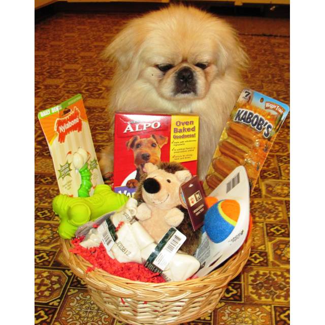 Care Basket for Dogs or Cats