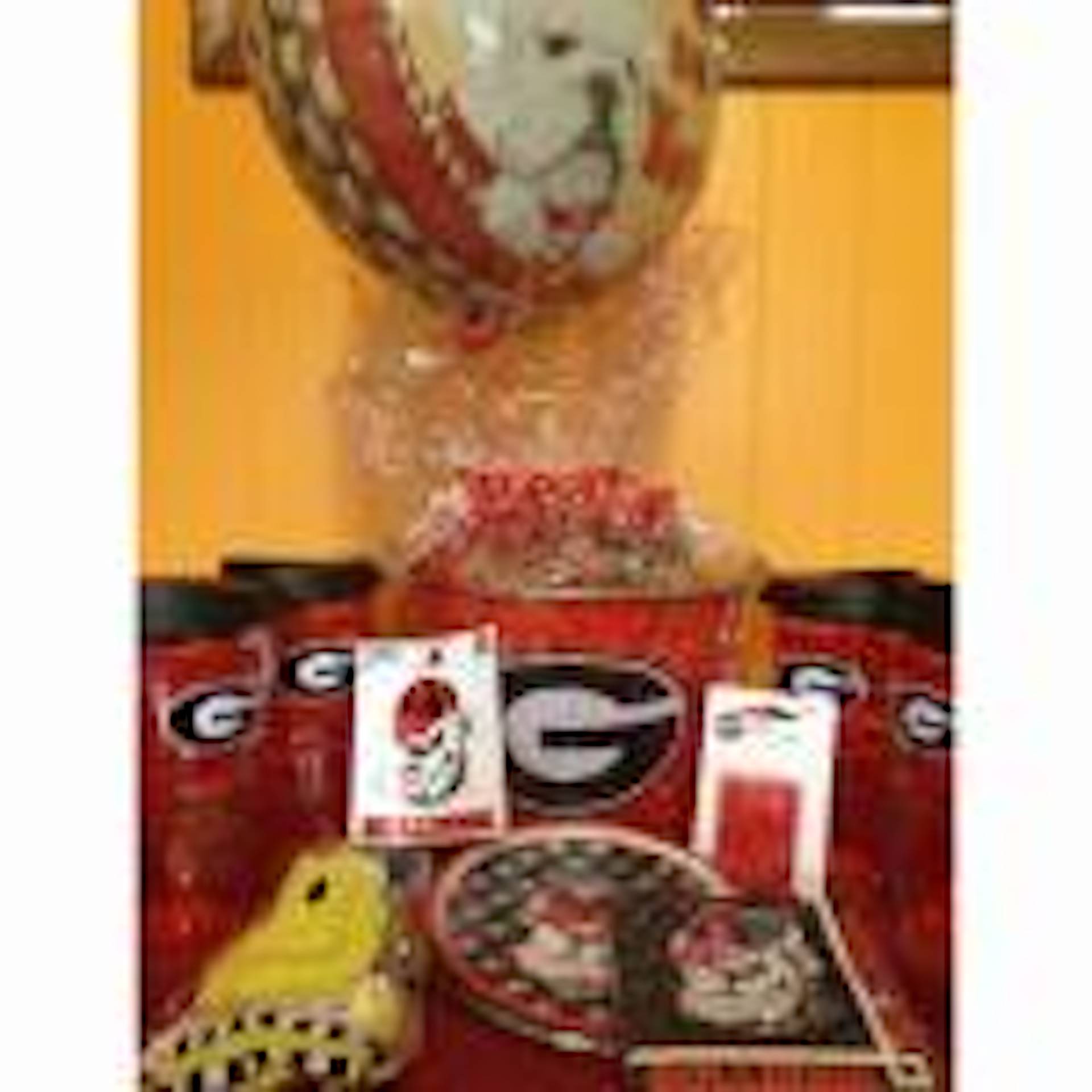 The Ultimate Bulldog Birthday Package