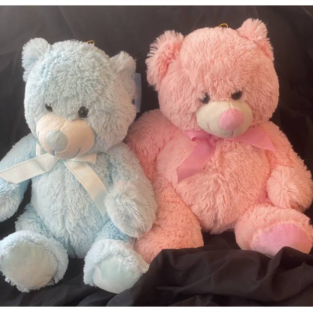 Teddy Bears (pink or blue)
