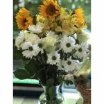 Roses, Daisies, SunFlowers & Astromeria