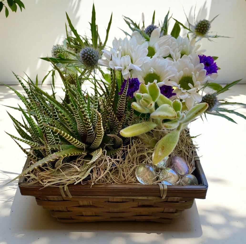 Succulent Baskets