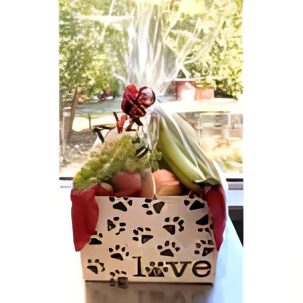 Dawg Paw Fruit Basket